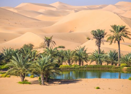 Al Ain Full Day Tour - Sharing Experience