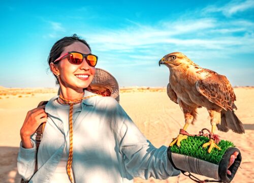 Liwa - Full Day Desert Safari in Abu Dhabi